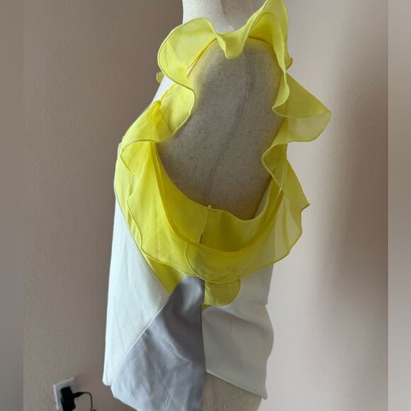 Yellow gray colorblock ruffle sleeve off shoulder tank top by Zara sz M - Picture 6 of 10